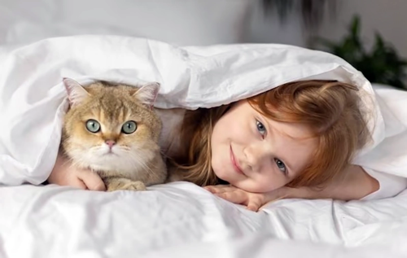 8 Jenis Kucing Terbaik Untuk Dipelihara Anak-Anak