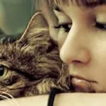 6 Alasan Mengapa Kita Mencintai Pemilik Kucing