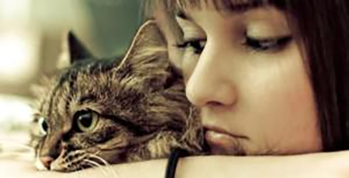 6 Alasan Mengapa Kita Mencintai Pemilik Kucing