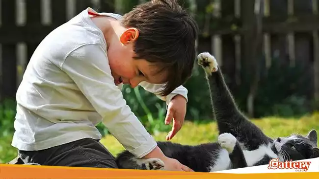 Wow!! Kucing dapat Menjadi Terapi Efektif untuk Anak Autis