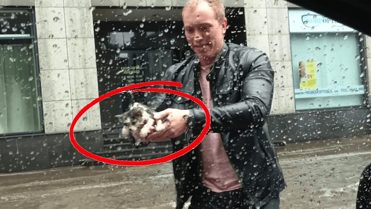 pria Heroik Ini Menyelamatkan Kucing yang Terperangkap Pada Saat Banjir